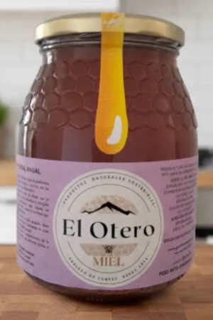 MIEL MULTIFLORAL ANUAL 1Kg